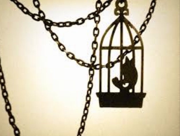 The Caged Bird Sings in&nbsp;2015